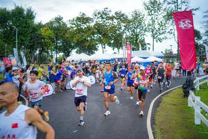 BIB: 
                            <button type="button" onclick="openModal(26550220)" class="btn btn-primary btn-sm float-right btn-popup" data-toggle="modal" data-target=".modal-high-quality">
                        <i class="fas fa-shopping-cart"></i> Add to Cart
                    </button>
                                            <button type="button" onclick="isThisMe(26550220, true)" class="btn btn-success btn-sm float-right btn-popup btn-isme hidden" data-toggle="tooltip" data-placement="bottom" title="นี่คือรูปของคุณใช่ไหม คลิกที่นี่เพื่อเอาเข้าอัลบั้ม">
                        <i class="fas fa-plus"></i> Add to album
                    </button>
                    <button type="button" onclick="isThisMe(26550220, false)" class="btn btn-warning btn-sm float-right btn-popup btn-isnotme hidden">
                        <i class="fas fa-ban"></i> Remove from album
                    </button>